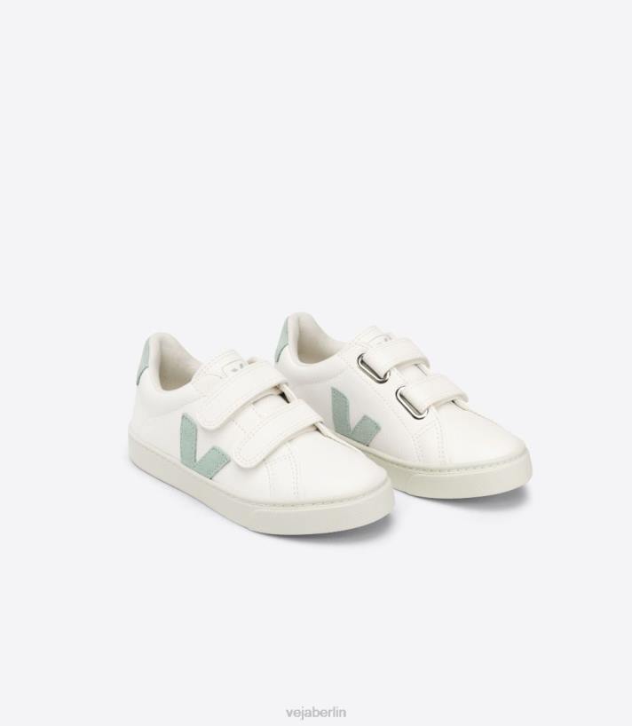 Veja 46FB329 Esplar chromfreies Leder, weißes Matcha