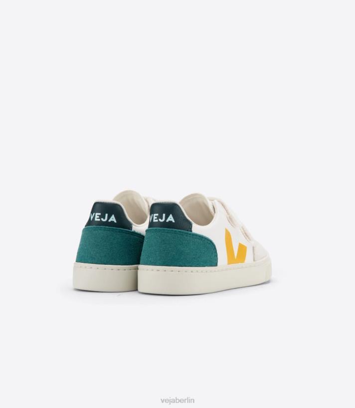 Veja 46FB308 V-12 Chromfreies Leder Multico Brittany